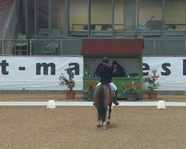 Reitturnier Kreuth 2018