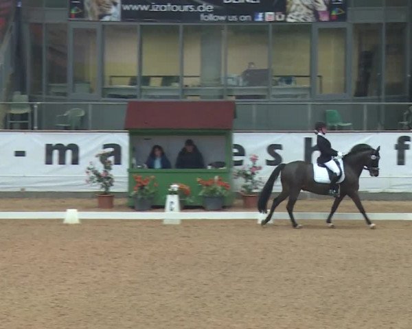 Reitturnier Kreuth 2018