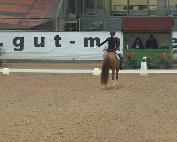 Reitturnier Kreuth 2018