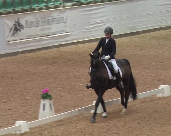 Reitturnier Kreuth 2018