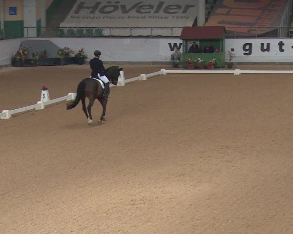 Reitturnier Kreuth 2018