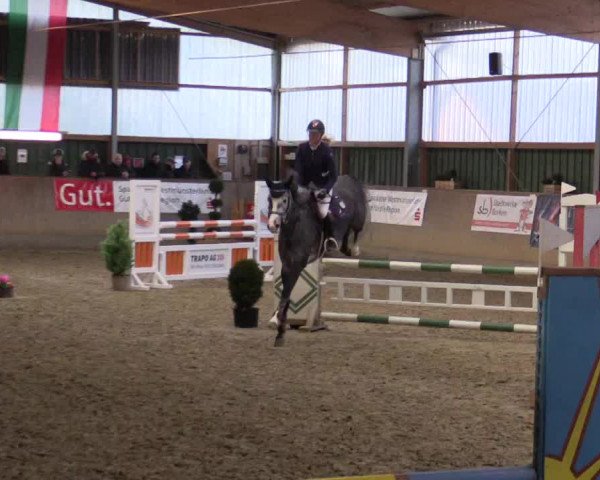 Reitturnier Velen 2018