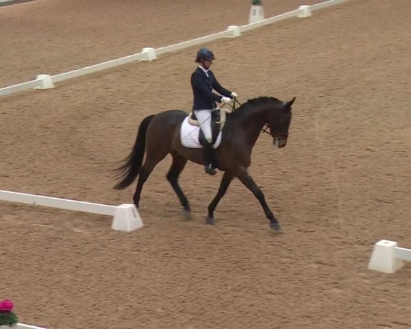 Reitturnier Kreuth 2018