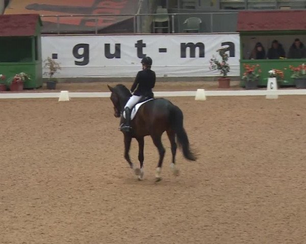 Reitturnier Kreuth 2018