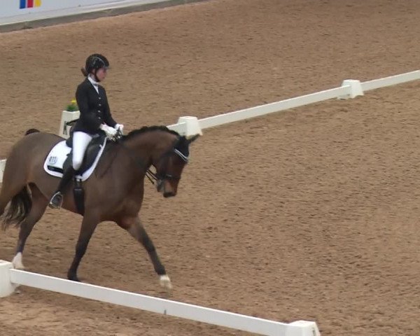 Reitturnier Kreuth 2018