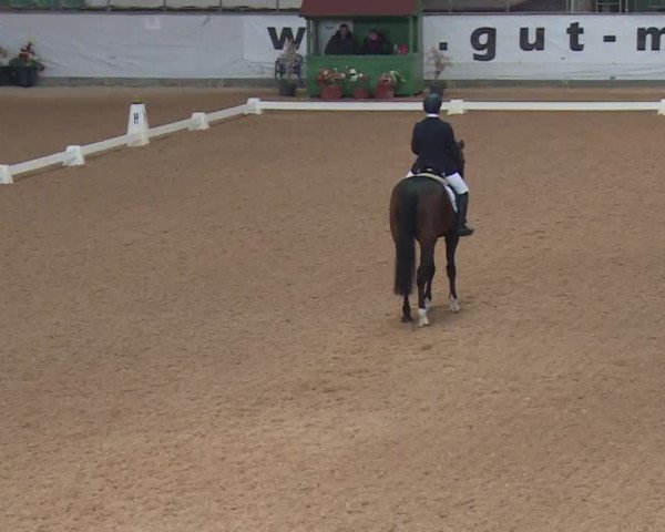 Reitturnier Kreuth 2018