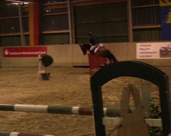 Reitturnier Velen 2018