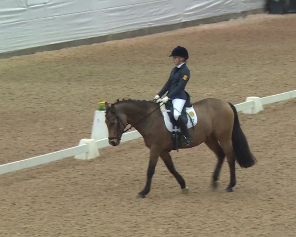 Reitturnier Kreuth 2018