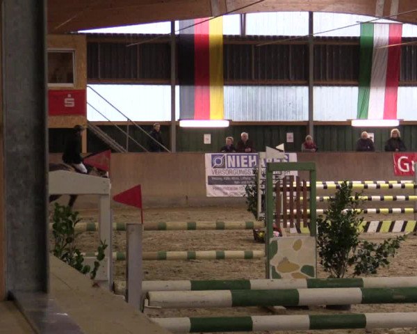 Reitturnier Velen 2018