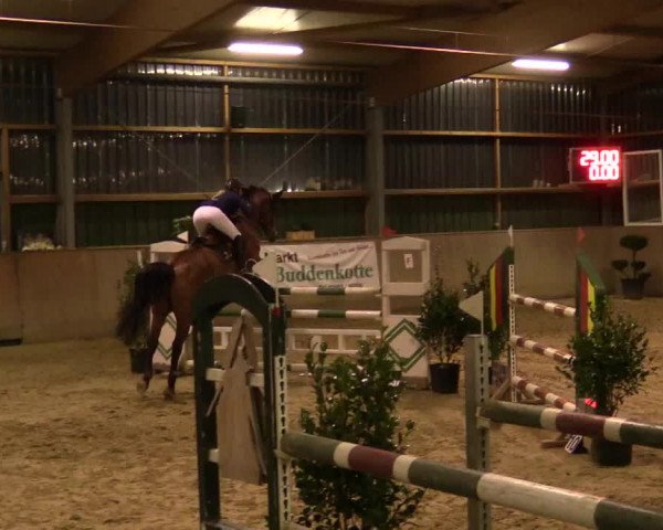 Reitturnier Velen 2018