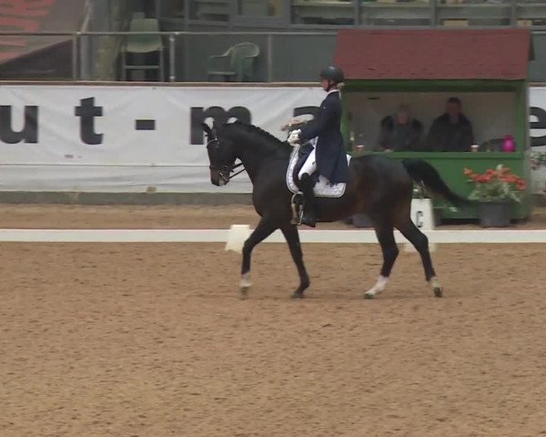 Reitturnier Kreuth 2018