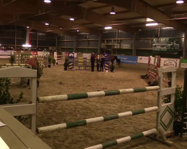 Reitturnier Velen 2018