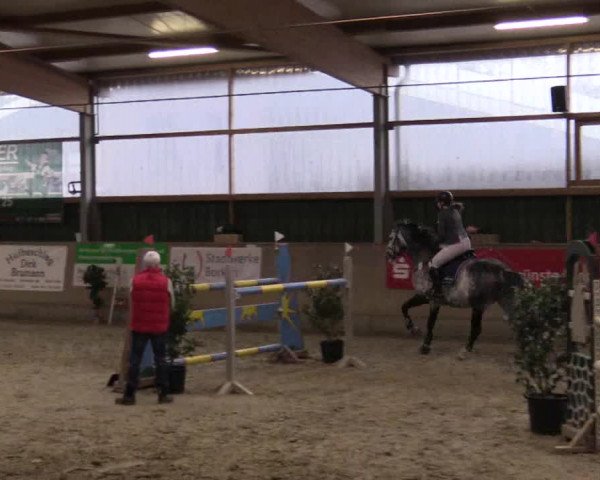 Reitturnier Velen 2018