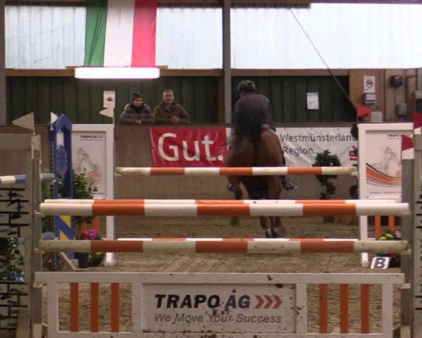 Reitturnier Velen 2018