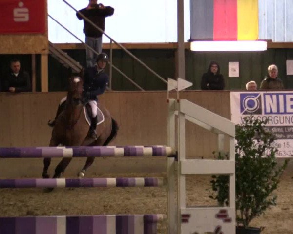 Reitturnier Velen 2018