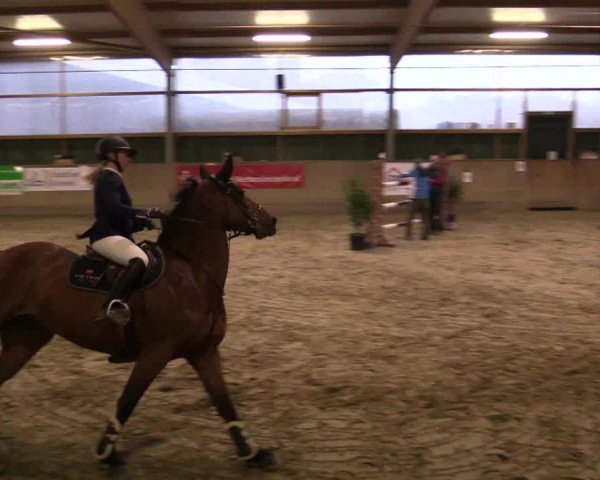 Reitturnier Velen 2018