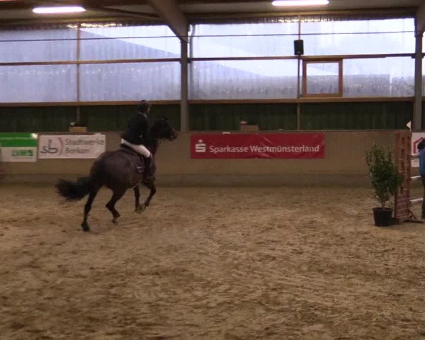 Reitturnier Velen 2018