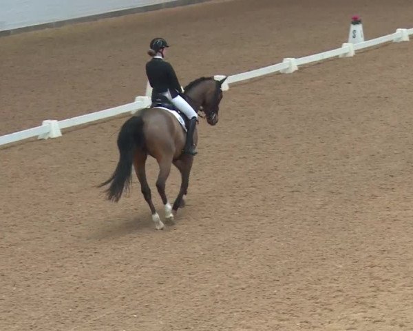 Reitturnier Kreuth 2018