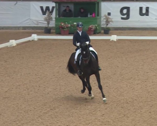 Reitturnier Kreuth 2018