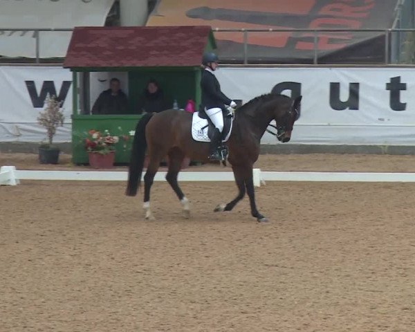 Reitturnier Kreuth 2018