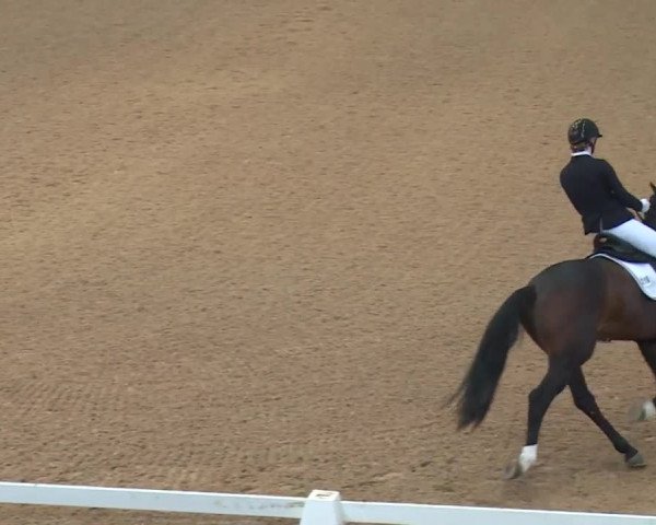 Reitturnier Kreuth 2018