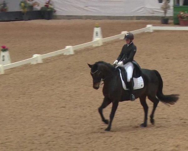 Reitturnier Kreuth 2018