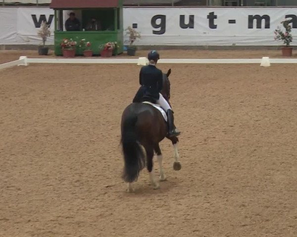 Reitturnier Kreuth 2018