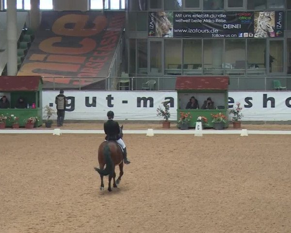 Reitturnier Kreuth 2018