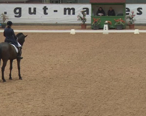Reitturnier Kreuth 2018