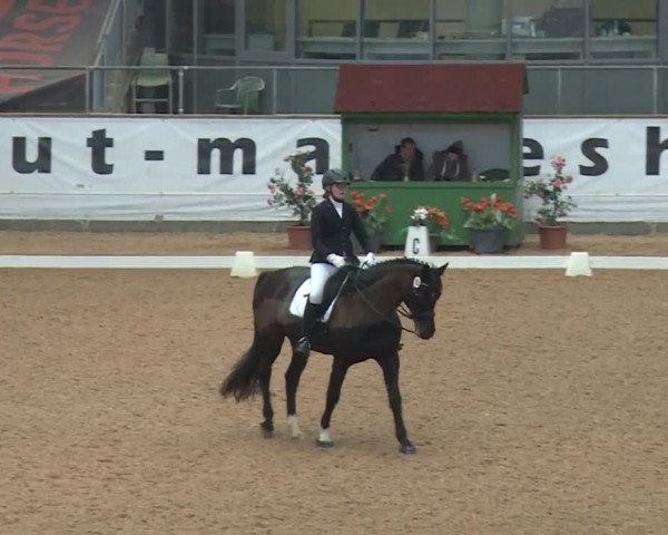 Reitturnier Kreuth 2018