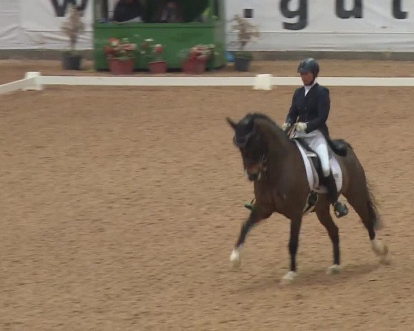 Reitturnier Kreuth 2018