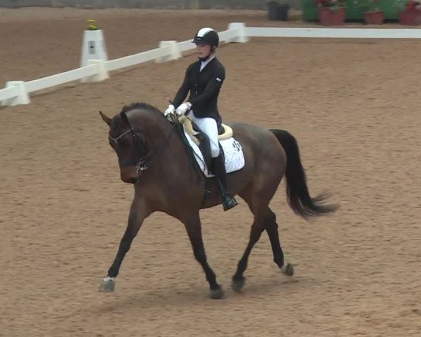 Reitturnier Kreuth 2018