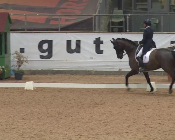 Reitturnier Kreuth 2018