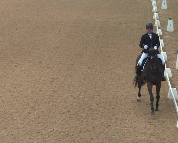 Reitturnier Kreuth 2018