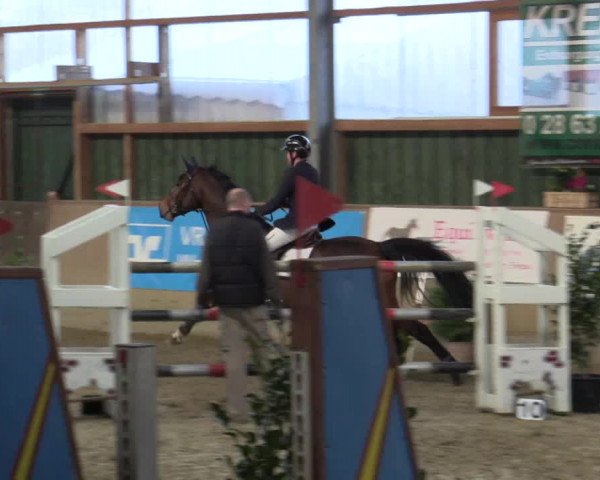 Reitturnier Velen 2018
