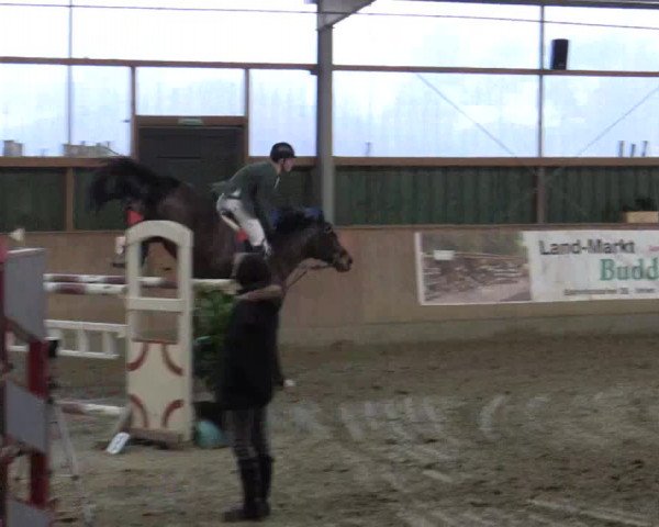 Reitturnier Velen 2018