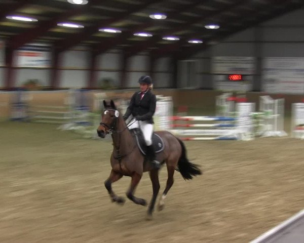 Reitturnier Behrendorf 2018