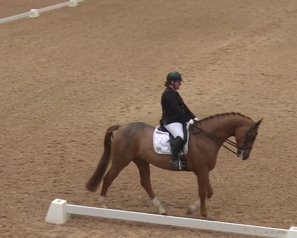 Reitturnier Kreuth 2018