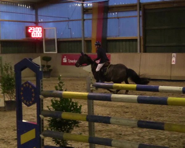 Reitturnier Velen 2018