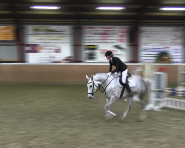 Reitturnier Behrendorf 2018