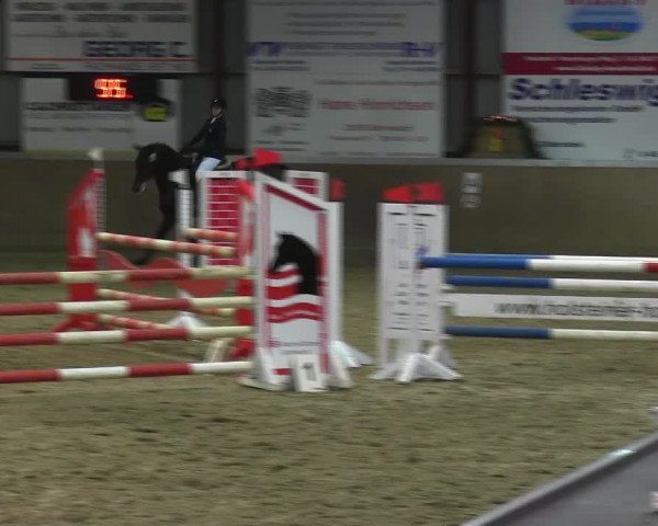 Reitturnier Behrendorf 2018