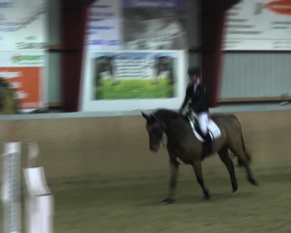 Reitturnier Behrendorf 2018
