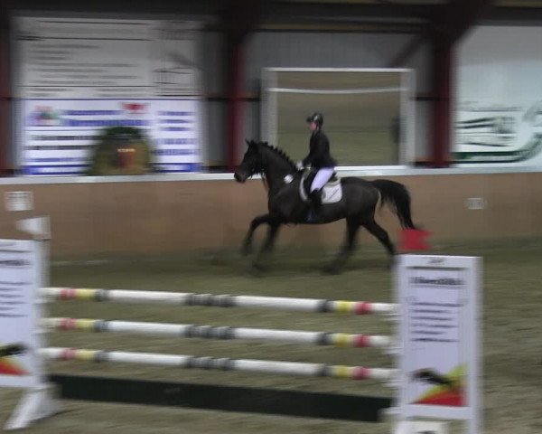 Reitturnier Behrendorf 2018