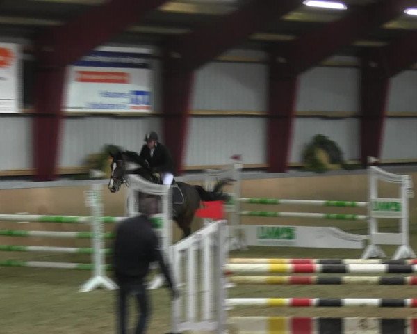 Reitturnier Behrendorf 2018