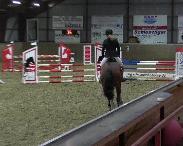 Reitturnier Behrendorf 2018
