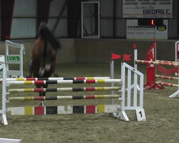 Reitturnier Behrendorf 2018