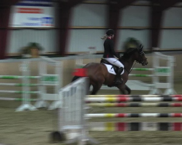 Reitturnier Behrendorf 2018