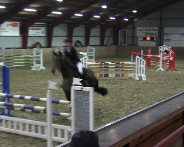 Reitturnier Behrendorf 2018