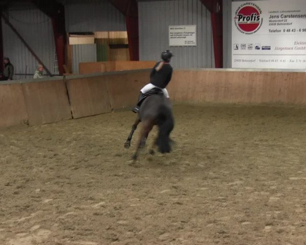 Reitturnier Behrendorf 2018