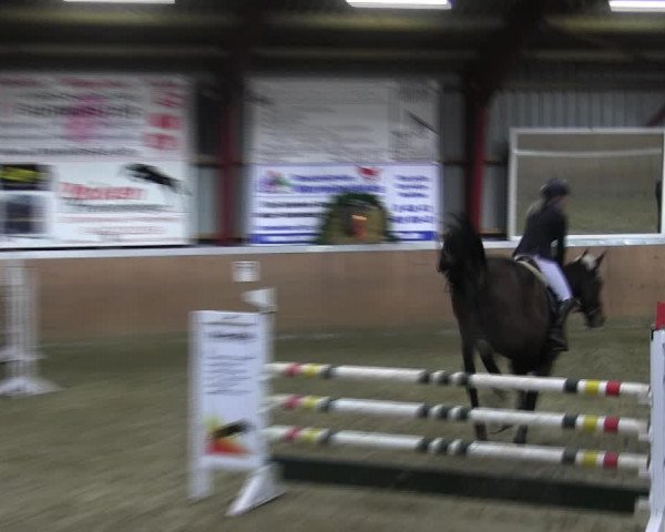 Reitturnier Behrendorf 2018